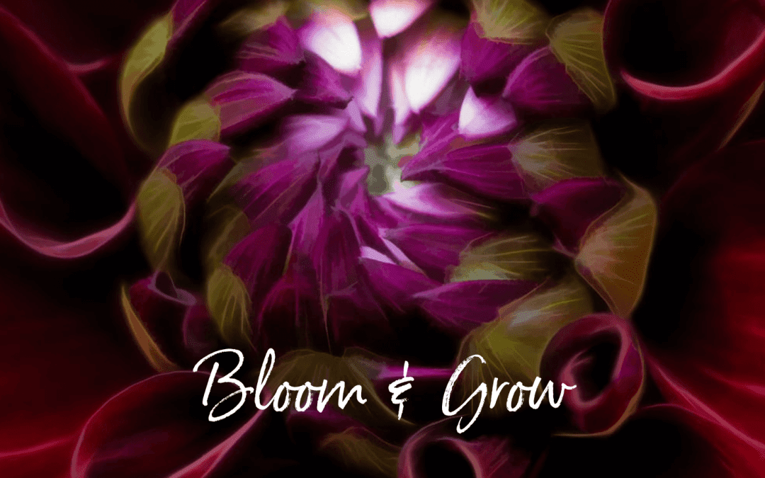 Bloom & Grow: Mein Motto für 2022