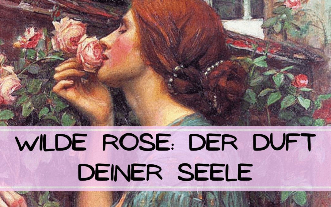 Wilde Rose: Der Duft deiner Seele